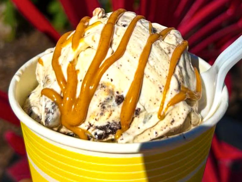 Peanut Butter Oreo frozen custard